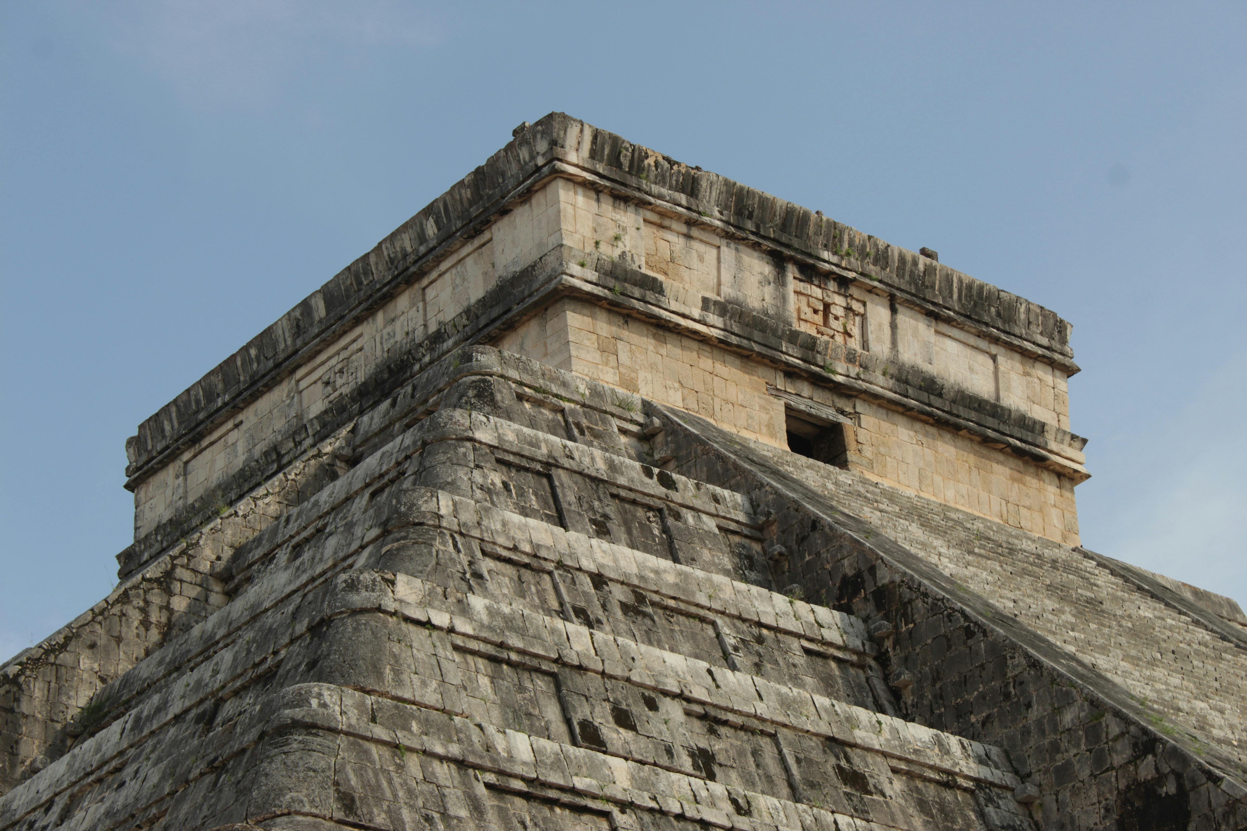 The Feathered Wonders: Exploring the Birdlife of Chichen Itza